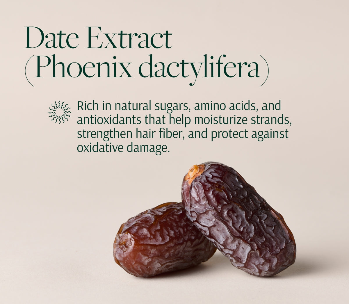 Hair wellness system