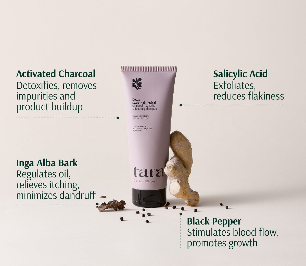 Charcoal + Salicylic Exfoliating Shampoo