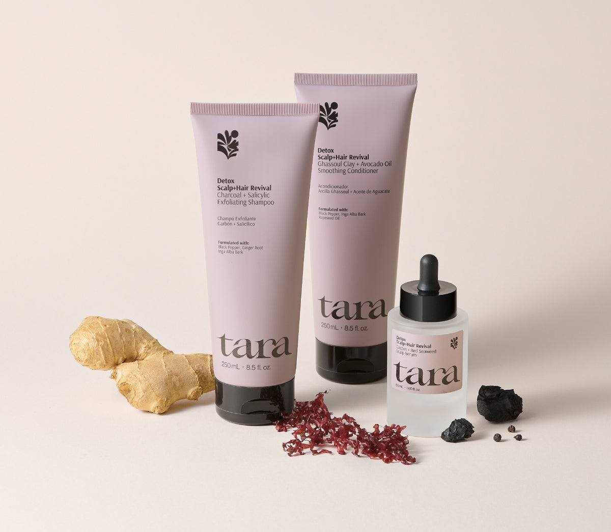 Charcoal + Salicylic Exfoliating Shampoo