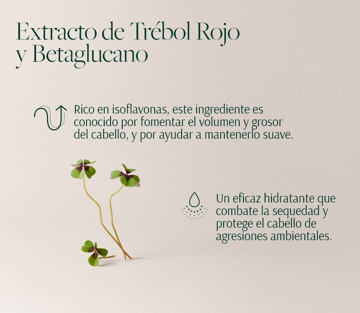 Hair Stimulation System