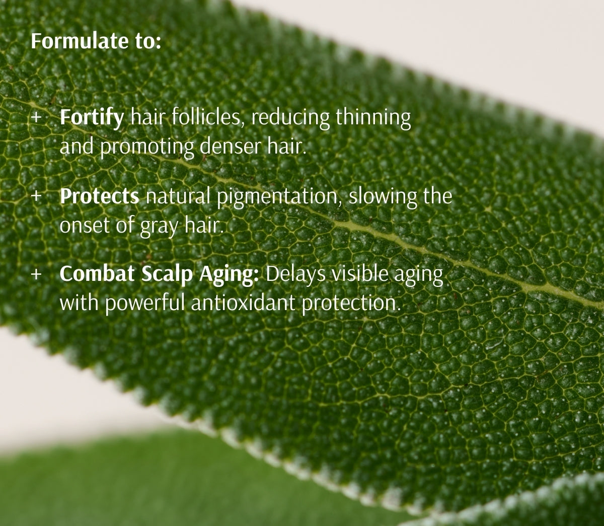 Scalp Support Serum