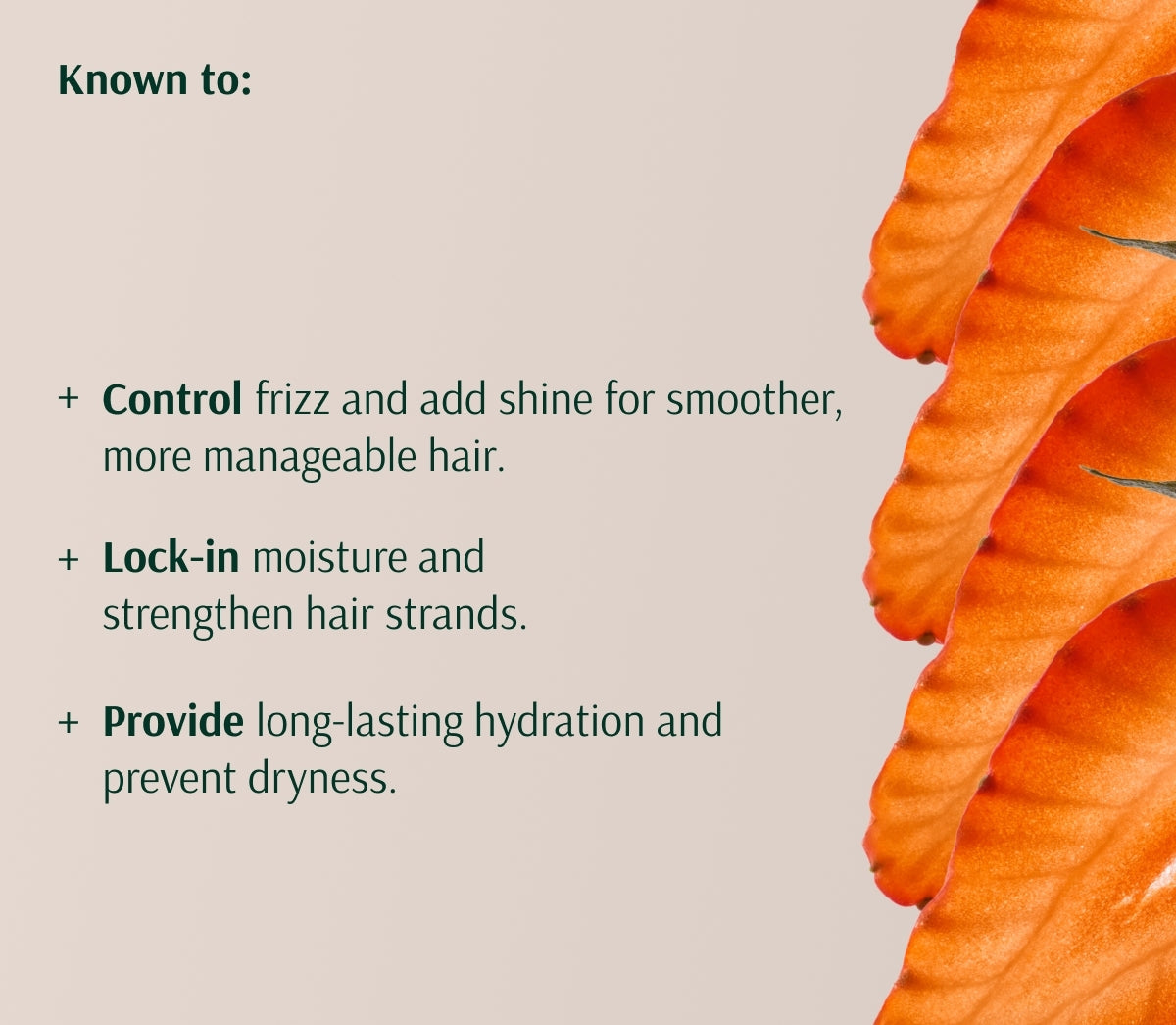 Nurture Leave-In Conditioner